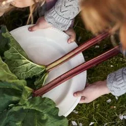 Scandi Living Dots Tarjoilulautanen 32 Cm 5 Scandi Living Dots Tarjoilulautanen 32 Cm -Ekelund Linneväveri Kauppa 38796 01 2 EnvironmentImage 6534e2978f