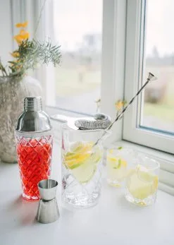 Dorre Dylan Shaker 40 Cl 5 Dorre Dylan Shaker 40 Cl -Ekelund Linneväveri Kauppa 505976 01 2 EnvironmentImage e37eab6117