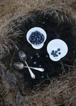 Wik & Walsøe Alv Jälkiruokakulho Jalalla Ø11 Cm -Ekelund Linneväveri Kauppa 516192 01 5 EnvironmentImage a825165c16