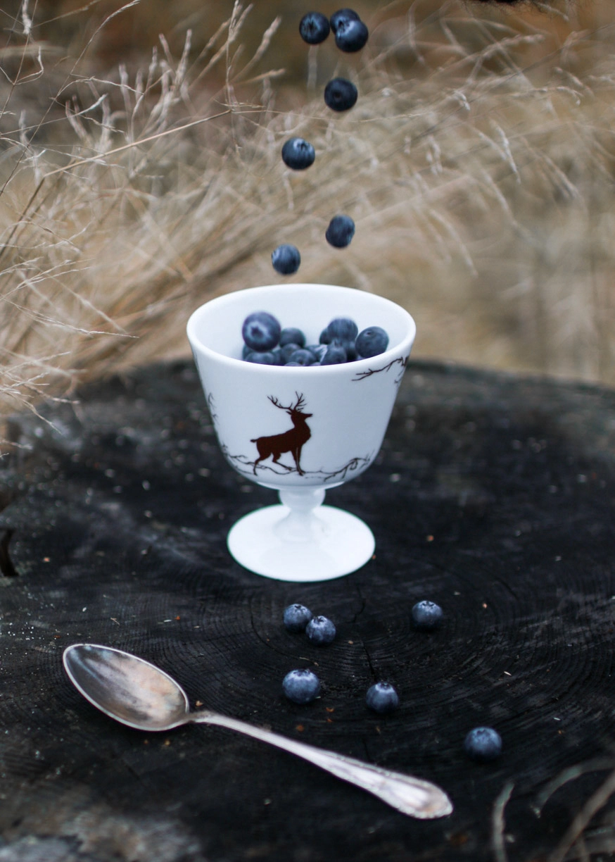 Wik & Walsøe Alveskog Jälkiruokakulho Jalalla Ø11 Cm 4 Wik & Walsøe Alveskog Jälkiruokakulho Jalalla Ø11 Cm - Image 2