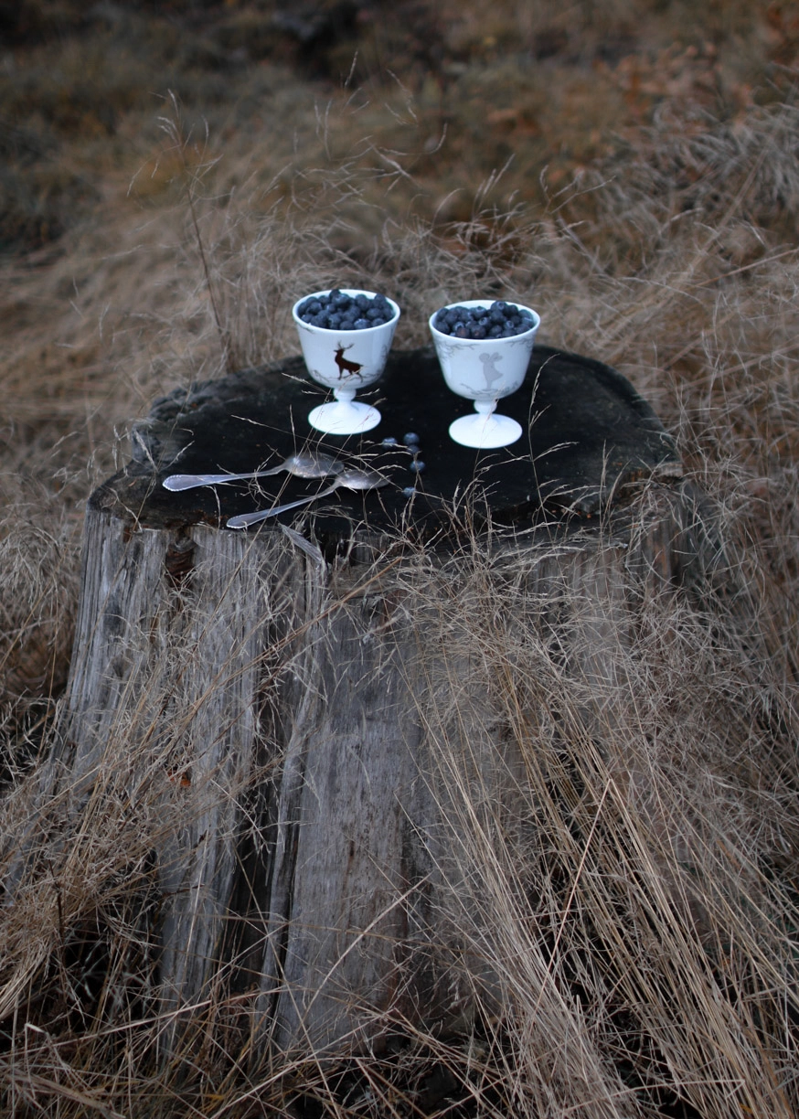 Wik & Walsøe Alveskog Jälkiruokakulho Jalalla Ø11 Cm 6 Wik & Walsøe Alveskog Jälkiruokakulho Jalalla Ø11 Cm - Image 4