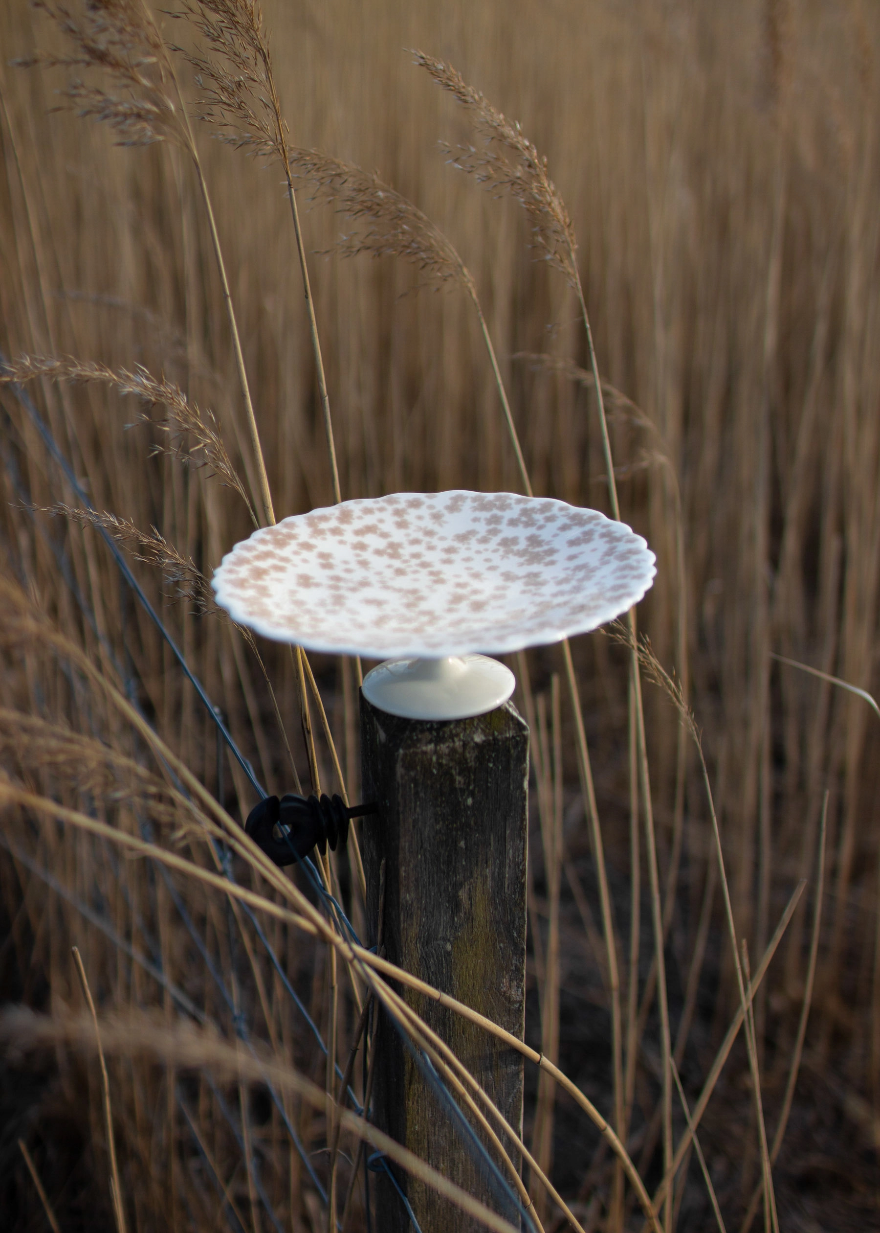 Wik & Walsøe Slåpeblom Kakkulautanen Ø21 Cm 4 Wik & Walsøe Slåpeblom Kakkulautanen Ø21 Cm - Image 2