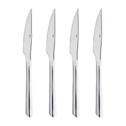 Aida Raw Paistiveitsi